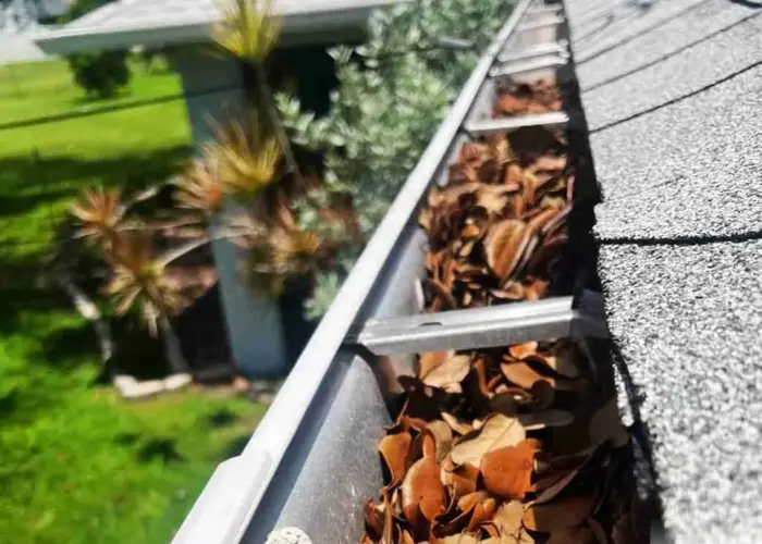 Passaic gutter cleaning home page